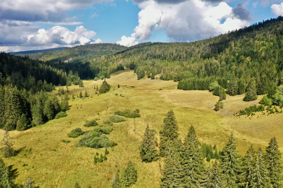 Tourbière de Belbriette