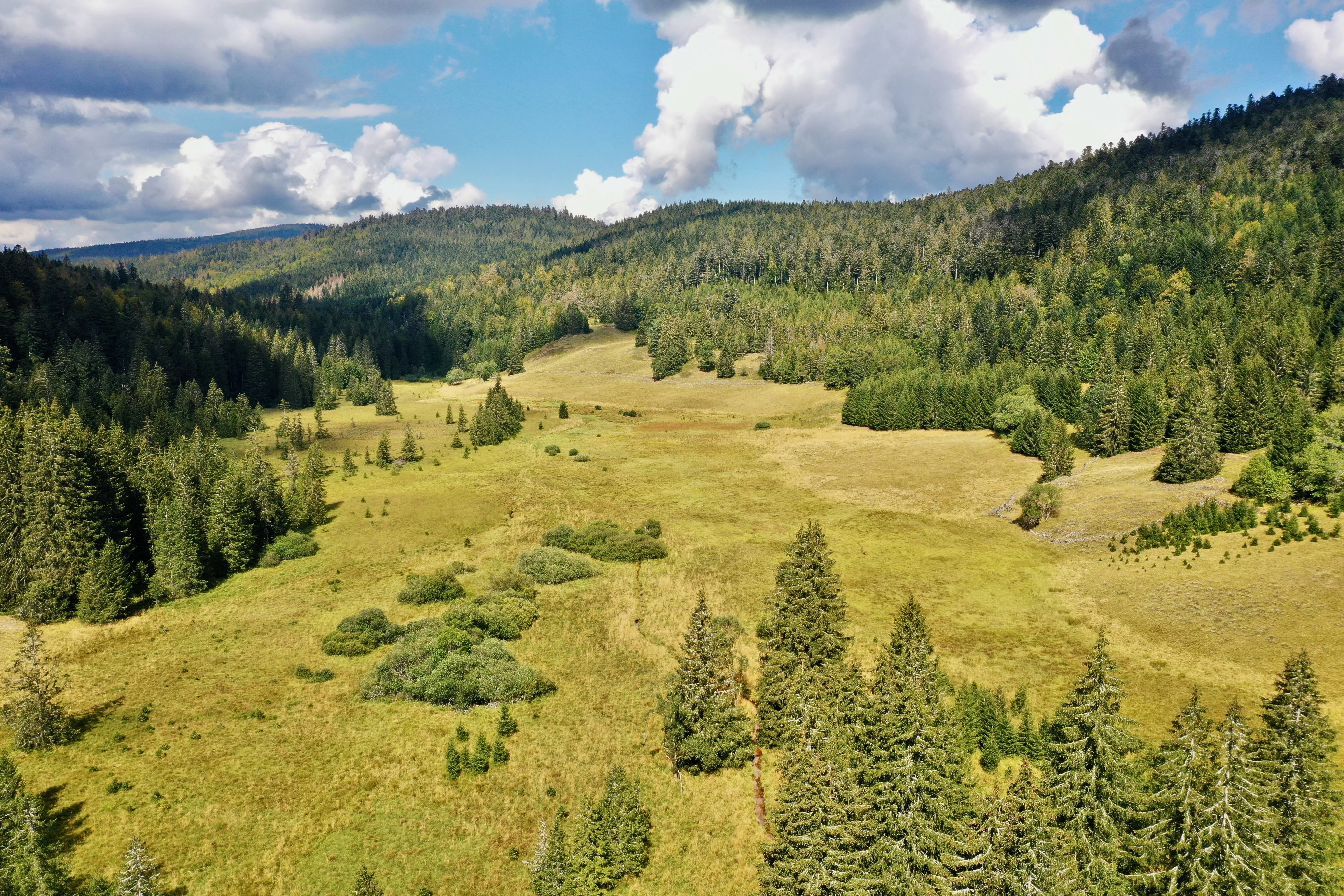 Tourbière de Belbriette