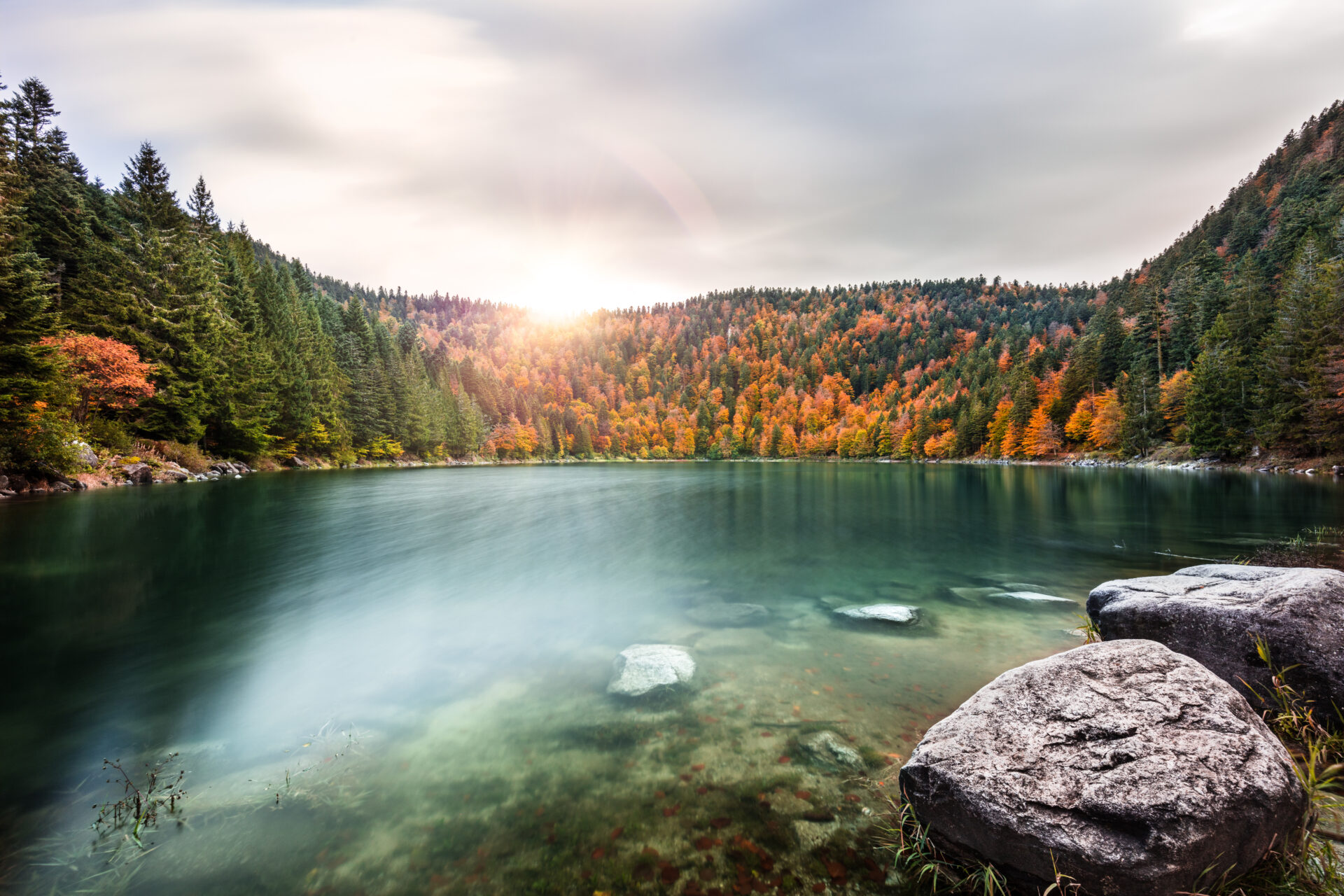 Activités dans les Vosges